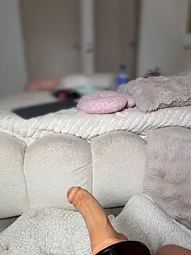 selenne_schmitt webcam