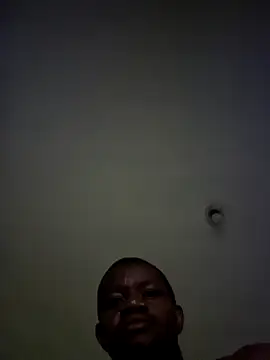 DeclawedPoise webcam