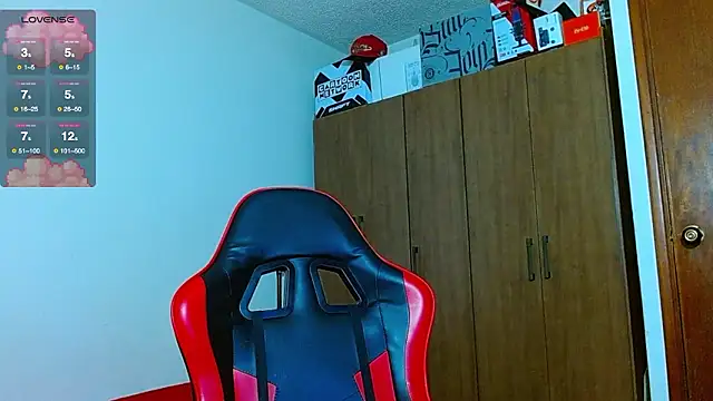 Hgp3riodictabl3 webcam