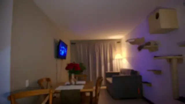 auroracaruso11 live sex cam