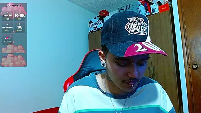 Hgp3riodictabl3 webcam