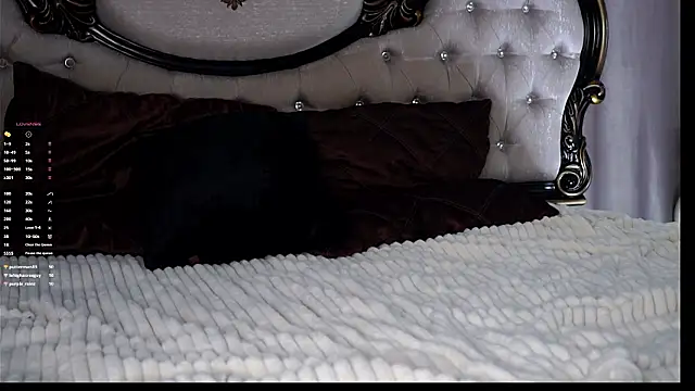 AunclreaVache webcam