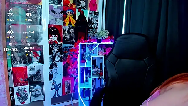 Ida_FaneStain webcam