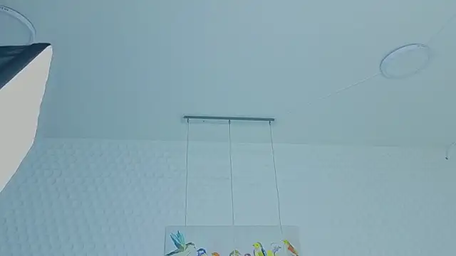 scarlettjohnson_ webcam