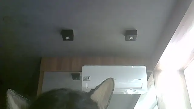 SkinnyKitten webcam