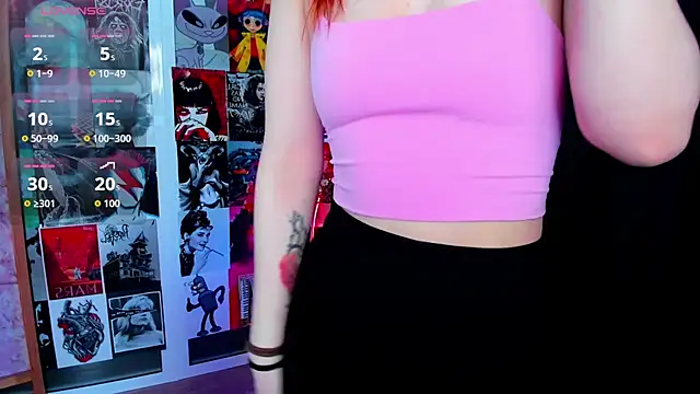 Ida_FaneStain webcam