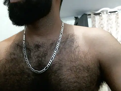 indianhairybull webcam