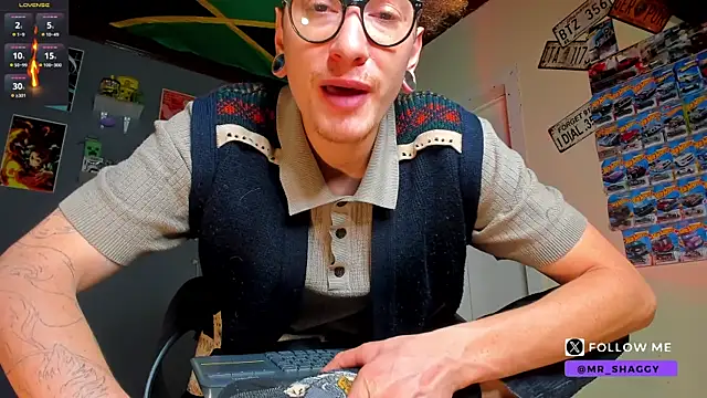 MrShaggy webcam