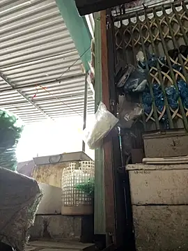 yanina120 (F mature) - #asian #asian-mature #best #best-mature #big-ass #big-ass-asian #big-ass-mature #black-hair #black-hair-mature #cam2cam #cheapest-privates #cheapest-privates-asian #cheapest-privates-best #cheapest-privates-mature #hd #heels #mature #mobile #mobile-mature #petite #petite-asian #petite-mature #recordable-privates #recordable-privates-mature #recordable-publics #small-audience #spanking #straight #student #titty-fuck #vietnamese