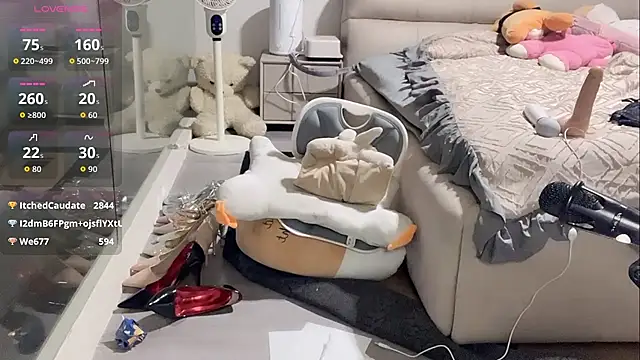 美女yyds-8在线直播