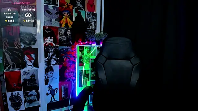 Ida_FaneStain webcam