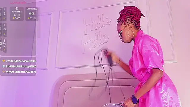 Liincostelloo webcam