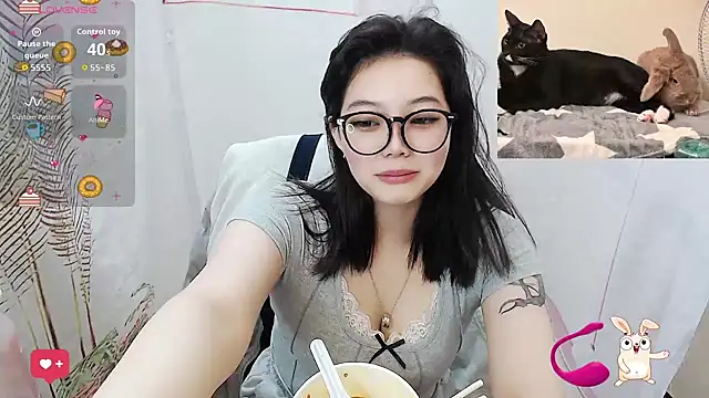NN053 webcam