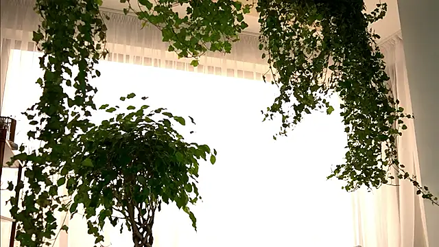 TheMaddisonShow_ webcam