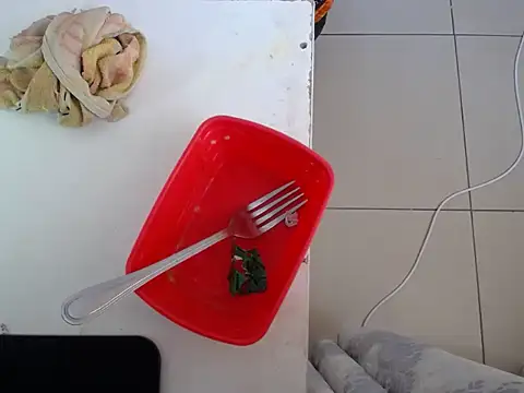 EssenceLovers webcam