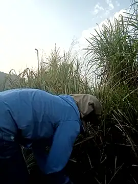 nangmo - Nangmo's free webcam - UK Sex Cams