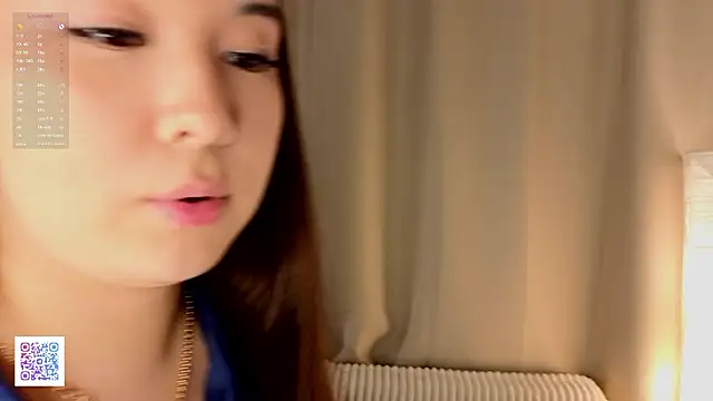 CarmanHenning webcam