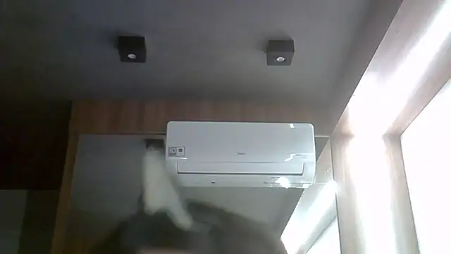 SkinnyKitten webcam
