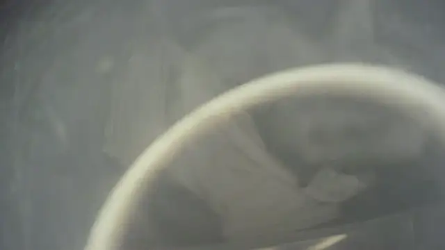 HeyyImHarlowe webcam