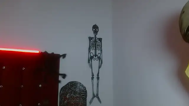 SkinnyDevil12 webcam