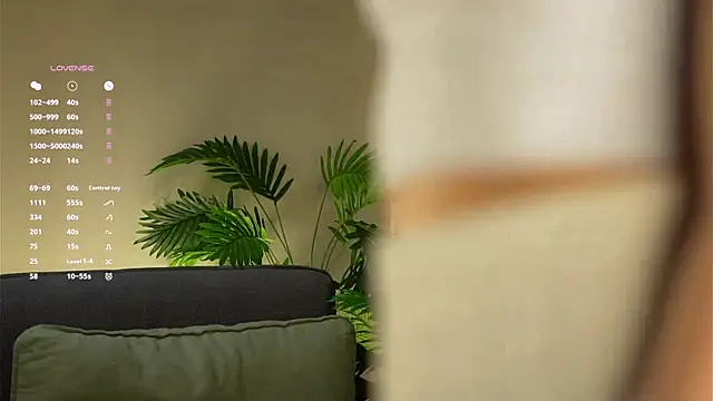 ClarineCasebolt webcam