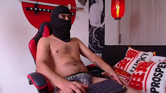 PrideFireFusion webcam