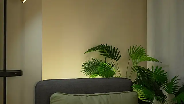 ClarineCasebolt webcam