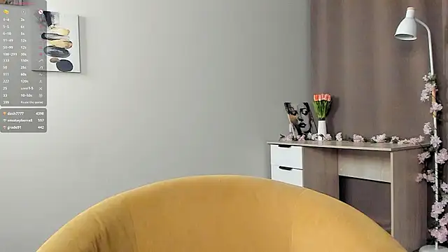 TaiteFairfield webcam