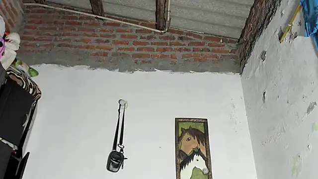 blaze_panther live sex cam