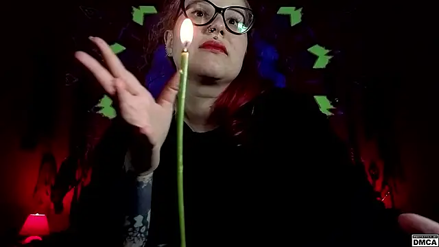 Amanita__Pantherina webcam