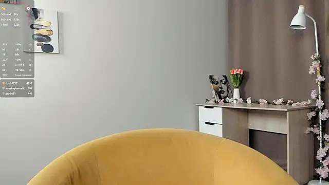 TaiteFairfield webcam