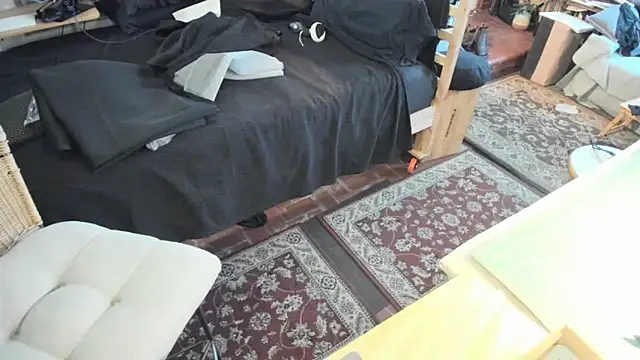 Dark_Asteroid webcam