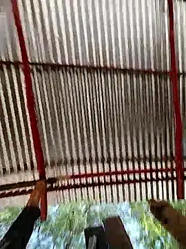 Brenda_Berck_ webcam