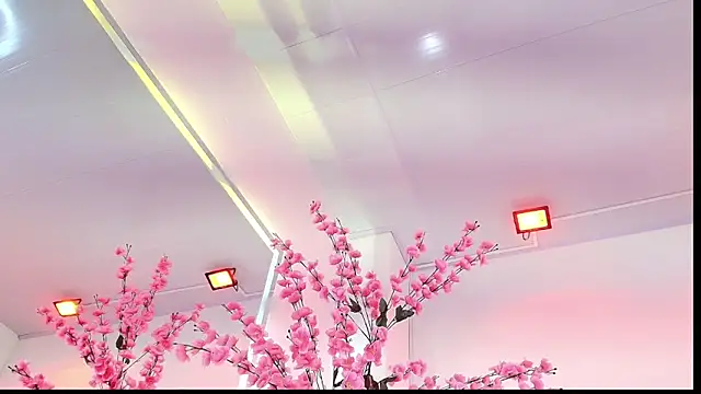 Gabriela_milani webcam