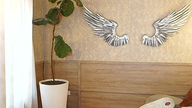 Ethan_occonor webcam