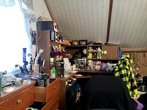 thejuicybacon webcam