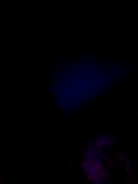 061190 (M young) - Khai trương