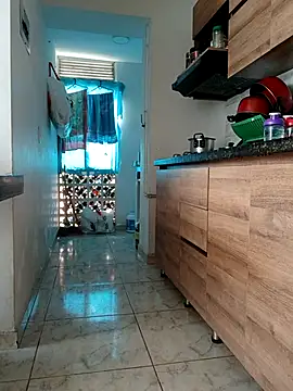 LEIRIS_Y_FRED_01 webcam