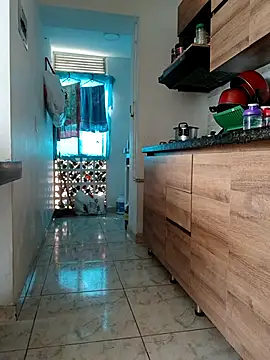 LEIRIS_Y_FRED_01 webcam