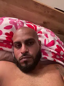 islandvybee55 webcam