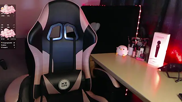 Theprojectsaraa webcam