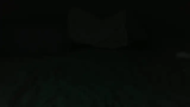 k-dong - K-dong's free webcam