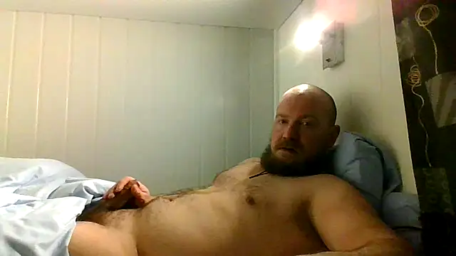 Real_viking webcam