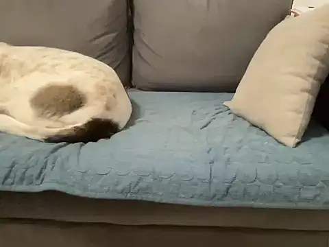 4small4inchlol webcam