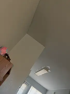 jojosbizarrelyf webcam