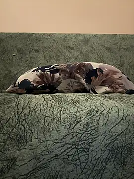 yakisikligenc webcam