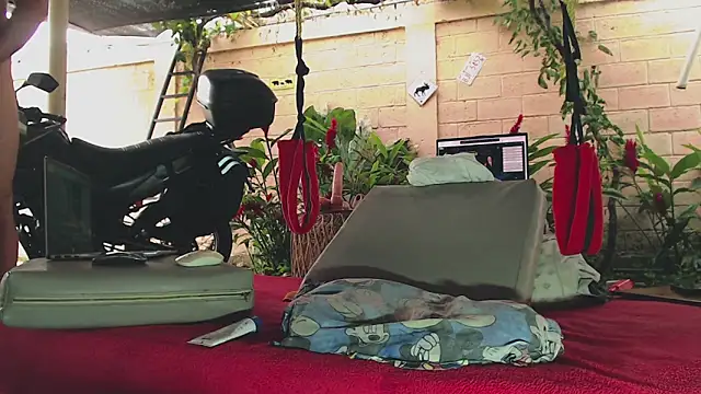 Neil_and_isaac webcam