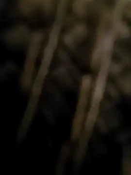 SecretLiveRoom webcam