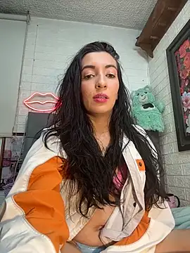 SALOME_KORLAND webcam