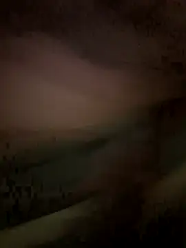 Valen_tinx19cm webcam